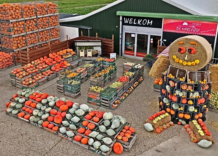 Hotelhuisje #f Hébergement de vacances Warmenhuizen