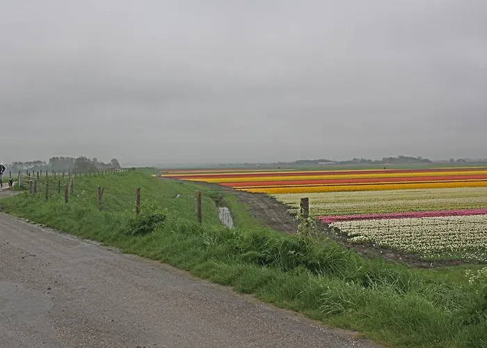 Vakantiehuis Hotelhuisje #f Warmenhuizen