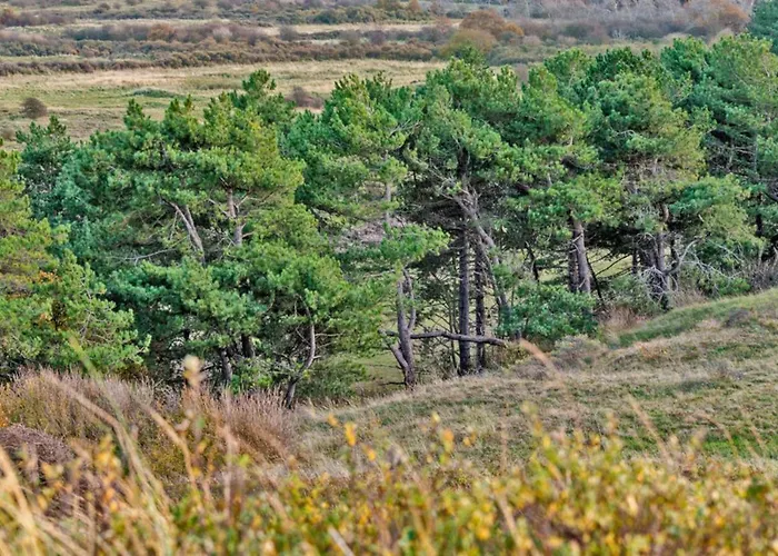 Hotelhuisje #f * Warmenhuizen