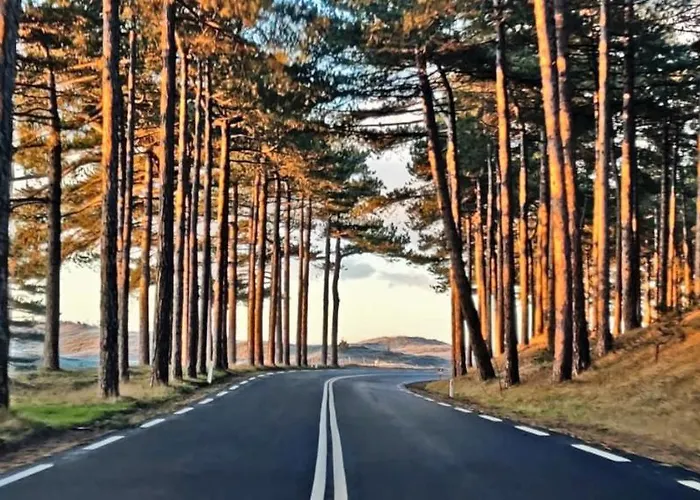 Hotelhuisje #f Hébergement de vacances Warmenhuizen